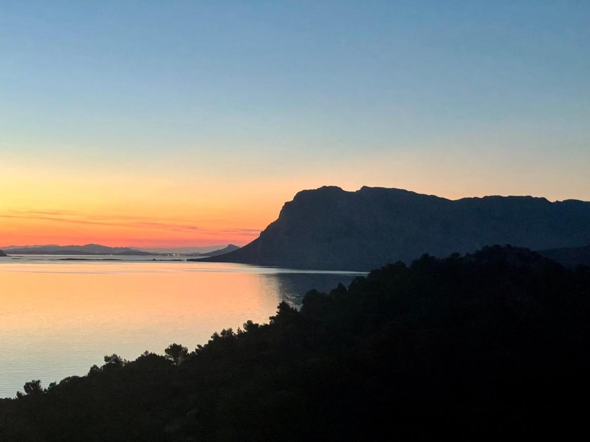 Appartamento San Teodoro Punta Est Fantastico Trilocale Vista Mare Capo Coda Cavallo Esterno foto