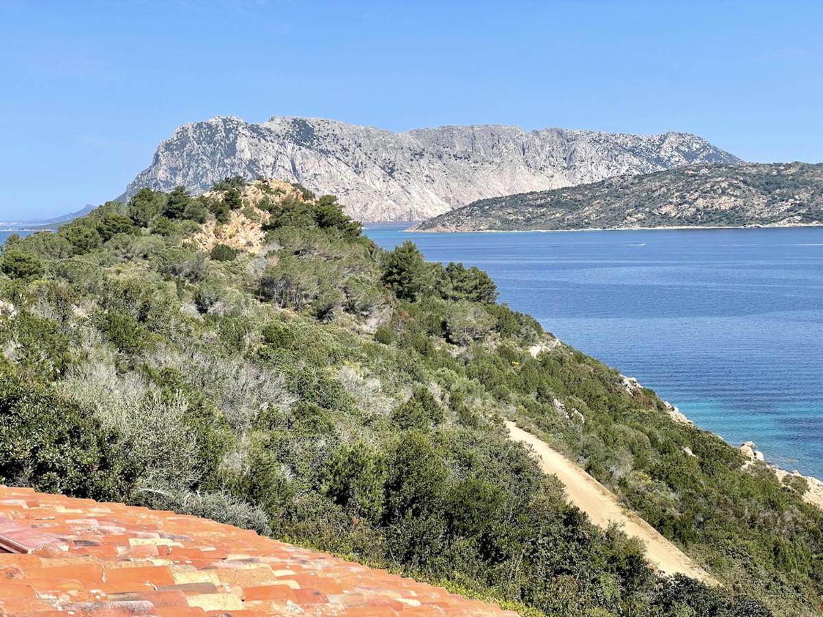 Appartamento San Teodoro Punta Est Fantastico Trilocale Vista Mare Capo Coda Cavallo Esterno foto