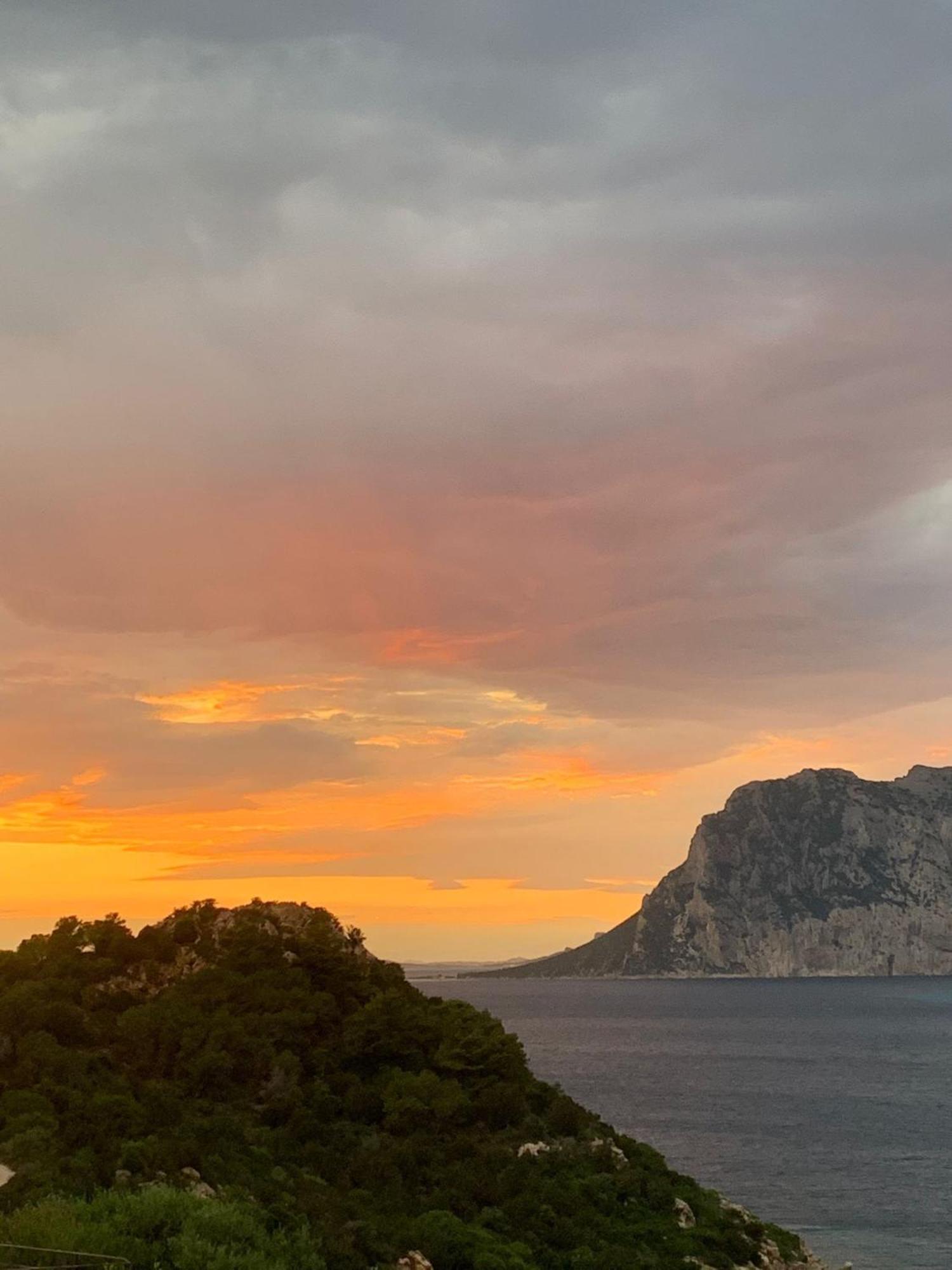 Appartamento San Teodoro Punta Est Fantastico Trilocale Vista Mare Capo Coda Cavallo Esterno foto